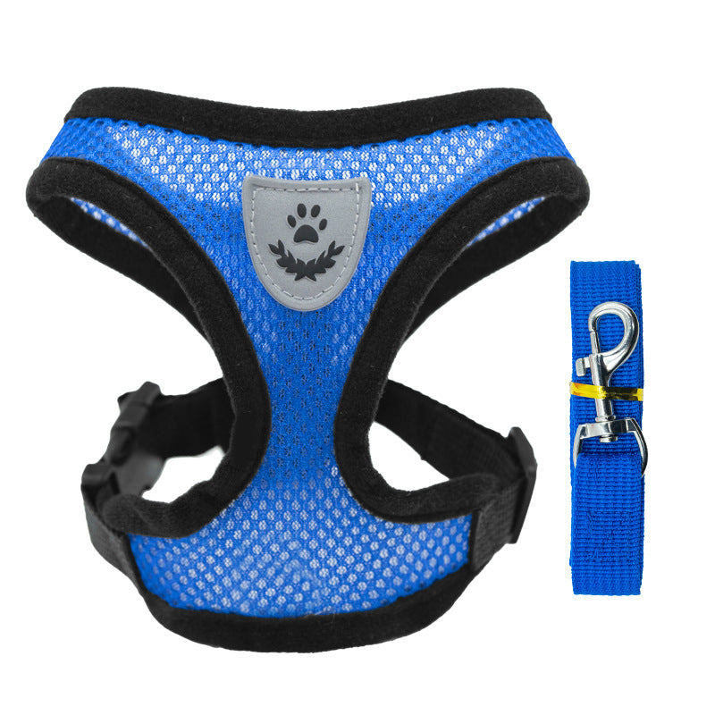 Breathable mesh vest harness in fluorescent green on a small dog