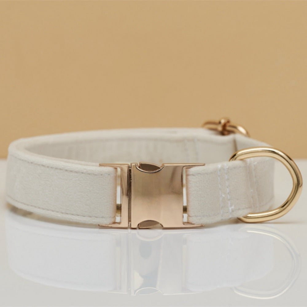 Soft velvet dog collar with metal buckle, ideal for everyday use