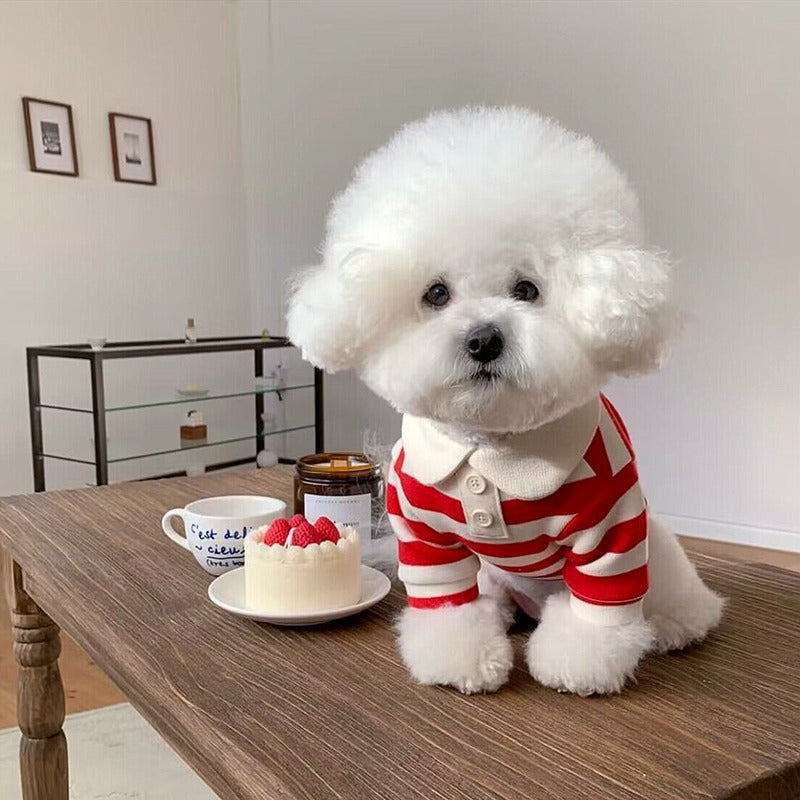 Striped dog t shirt and vest, available in 7 styles, image 3