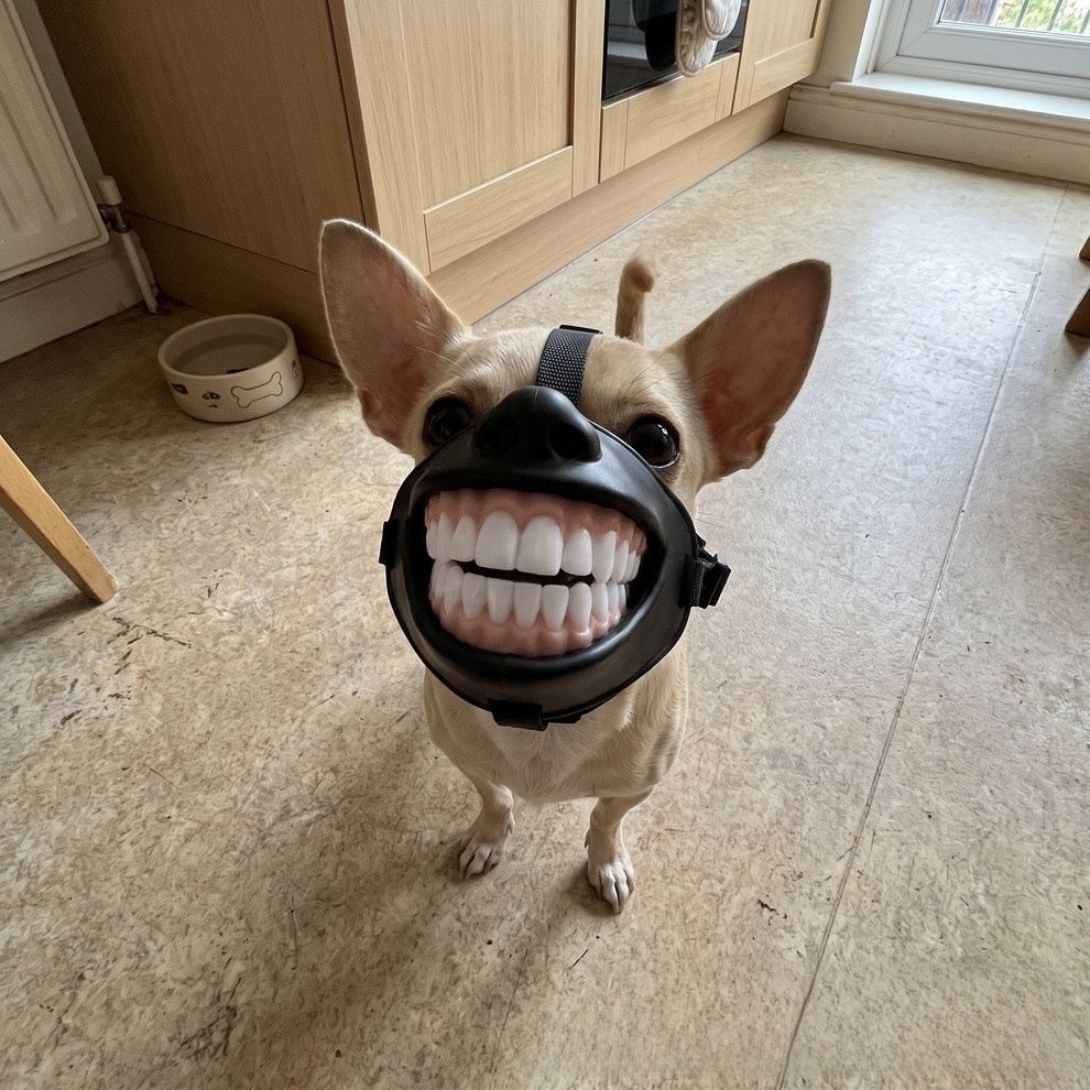 Monster Style Dog Muzzle, Breathable Anti-Bite Cover for Grooming