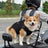Breathable nylon pet carrier bag with crossbody strap, product image 3