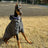 Black reflective hooded jacket for large dogs, in Black, sizes 3XL to 7XL, image 1