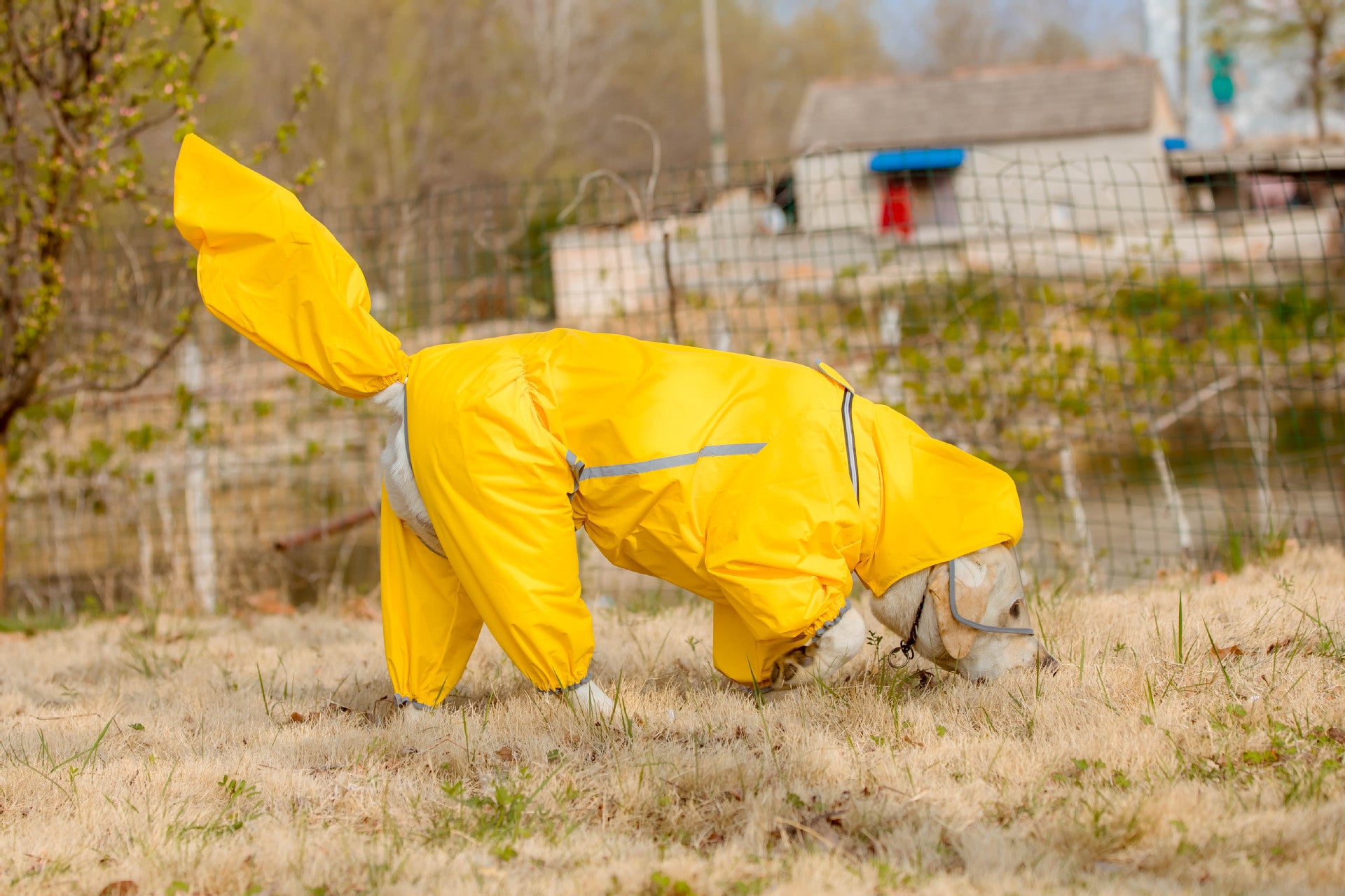 Four leg dog raincoat with tail cover, available in 4 styles, image 9