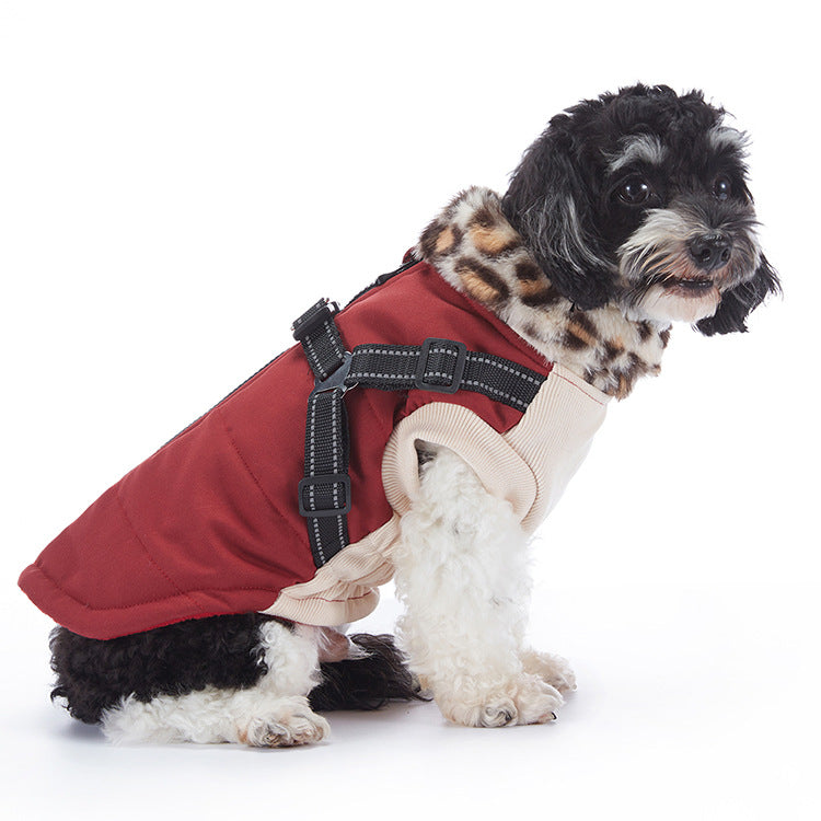 Waterproof padded British style dog winter coat in Bordeaux, in a home setting