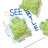 Green turtle shaped plush squeaky dog toy for gentle chewing - photo 9