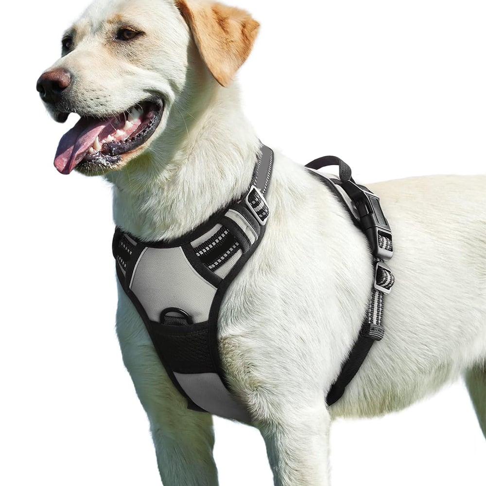Lightweight nylon outdoor vest for small dogs in Pink, showing size and shape