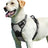 Lightweight nylon outdoor vest for small dogs in Pink, showing size and shape