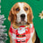 Cartoon print pet bandana for dogs and cats in Design 22, material detail