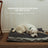 Grey memory foam dog bed with removable water-resistant cover, photo 2