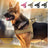 Reflective tactical nylon dog harness, main product photo