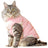 Warm padded cat jacket with lead attachment ring in Multicolour, showing size and shape