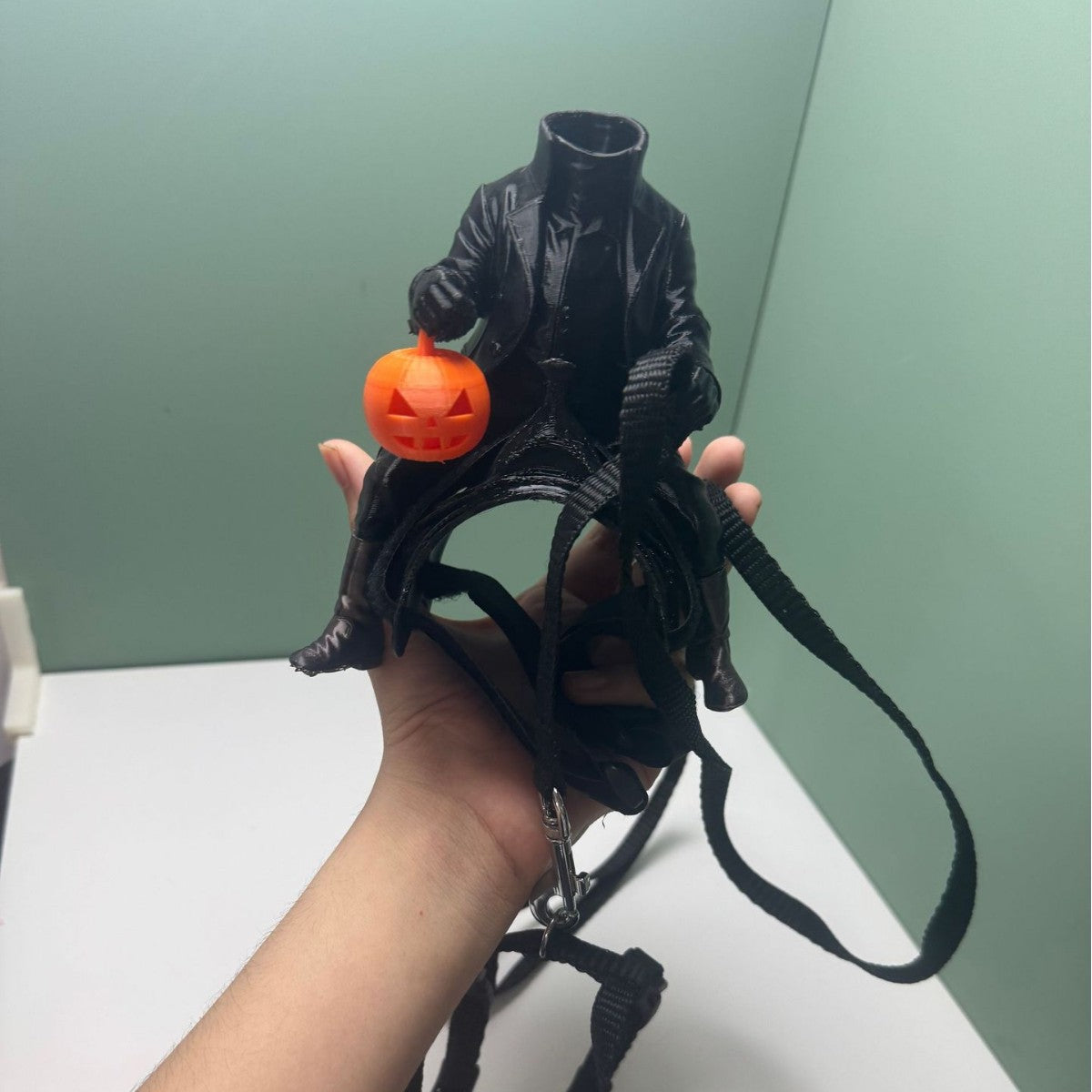 Headless horseman Halloween cat costume with light up lantern