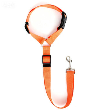 Adjustable nylon pet tether lead, close-up detail view