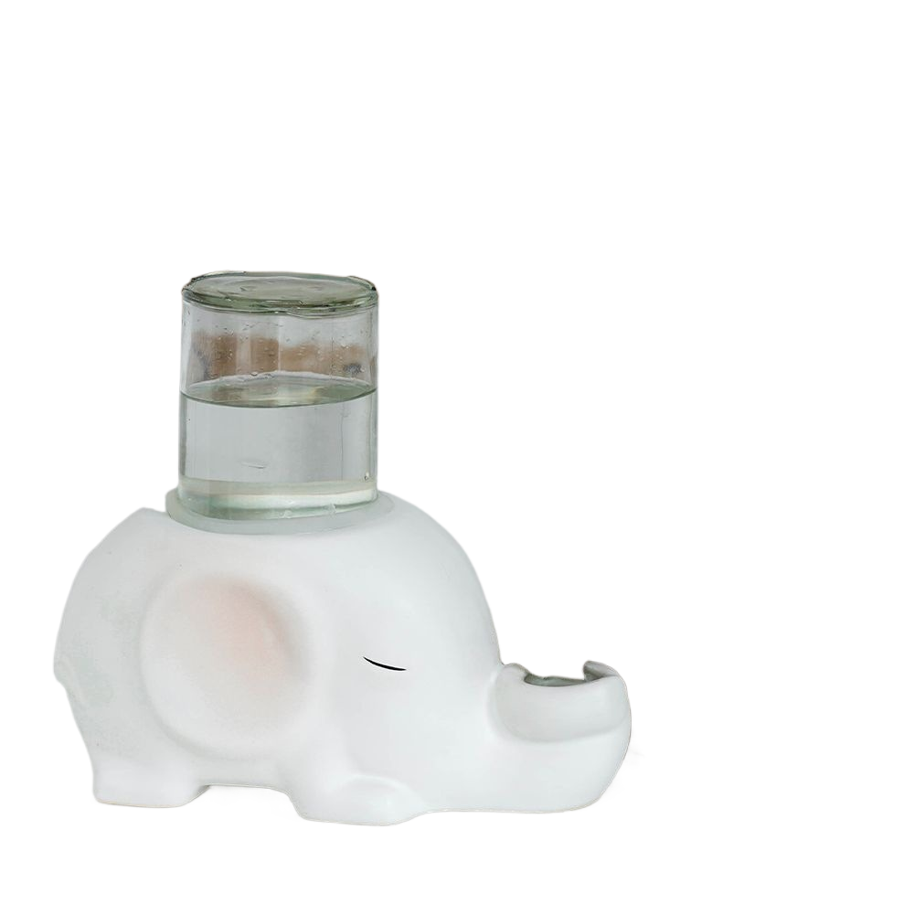 Ceramic Pet Water Dispenser Bowl with Glass Bottle and Anti-Tip Base for Cats