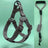 Three piece dog harness, collar and lead set in blue
