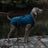 Waterproof windproof dog raincoat, available in 4 colours, image 45