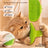 Cat Self-Grooming Scratcher and Silicone Massager