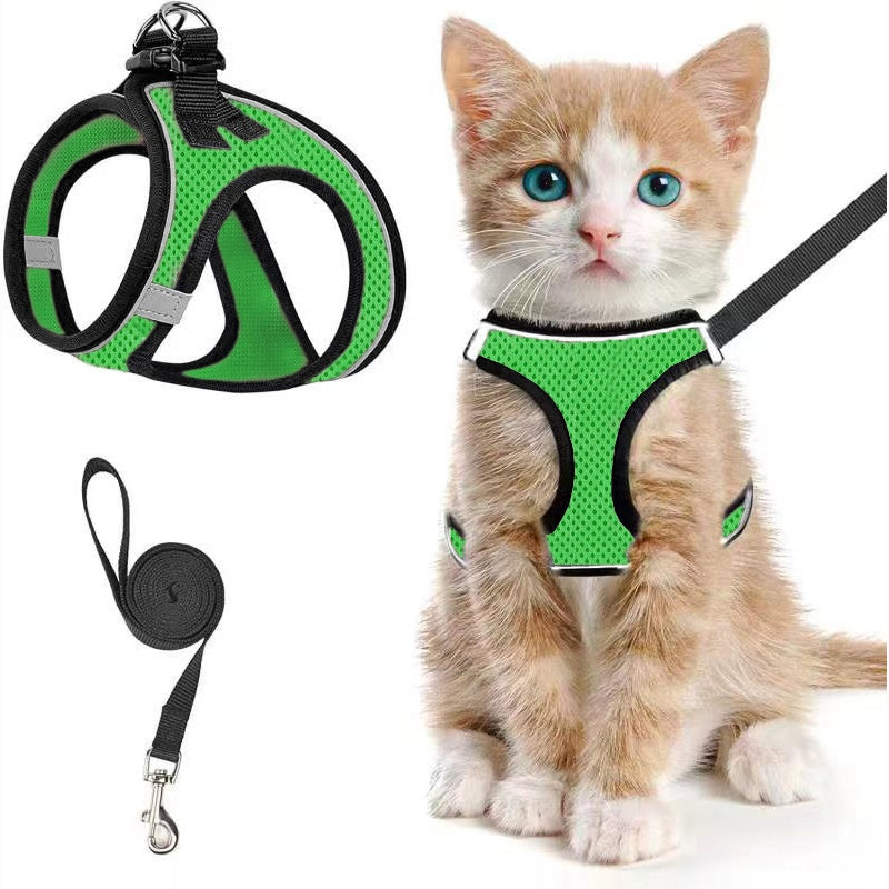 Breathable reflective mesh harness in lake blue on a cat