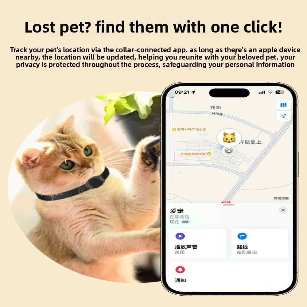 Pet locator tag with collars in yellow, blue, purple and pink