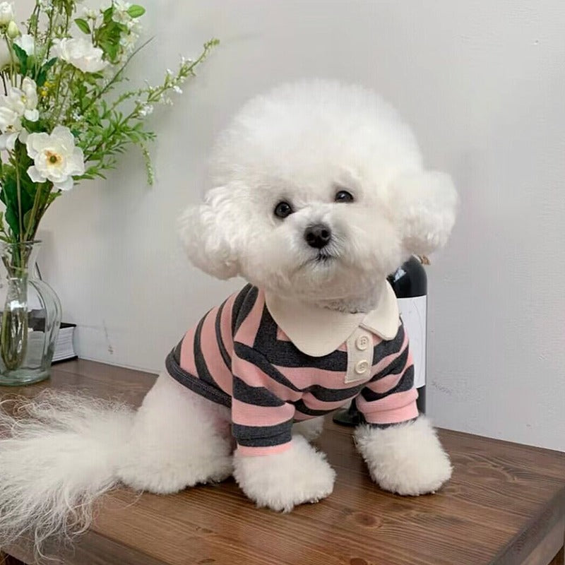Striped dog t shirt and vest, available in 7 styles, image 4