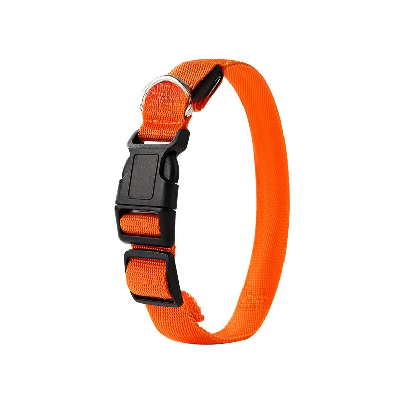USB rechargeable LED dog collar glowing in bright colour, product image 5