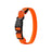 USB rechargeable LED dog collar glowing in bright colour, product image 5