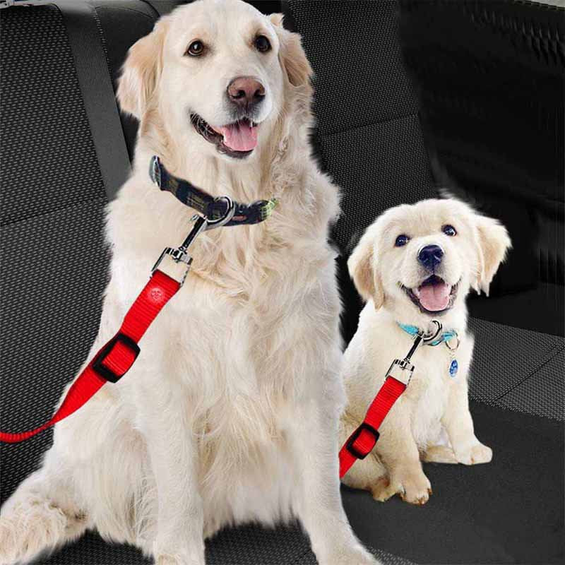Nylon dog car seat belt lead in 8 colour options