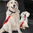 Nylon dog car seat belt lead in 8 colour options