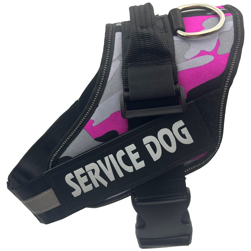 Reflective nylon dog harness with lead in blue, product image 54