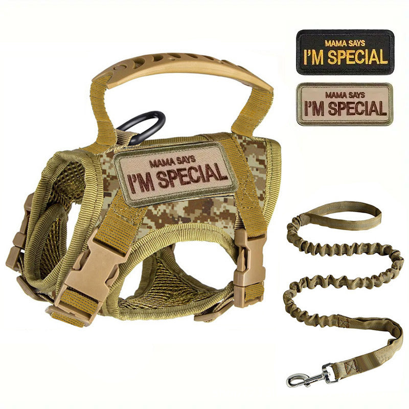Black tactical cat harness with matching lead and embroidered patches