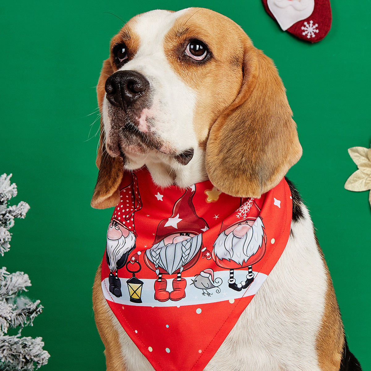 Cartoon print pet bandana for dogs and cats, in use with a pet