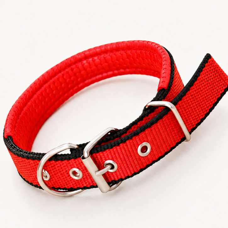 Padded nylon dog collar with foam lining, 5 sizes available