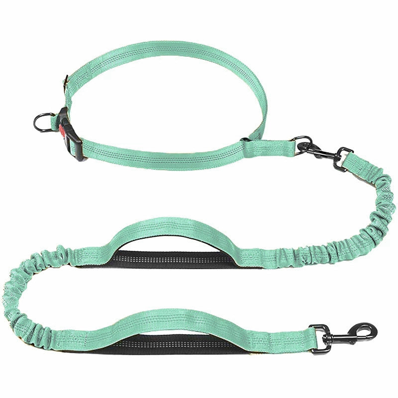 Reflective nylon bungee lead with two handles in sky blue