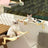 Cat watching the garden from a hanging window perch