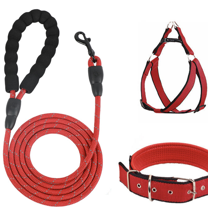Rope dog lead set with harness or collar, main product photo