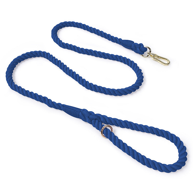 Woven rainbow dog lead with gold coloured clip