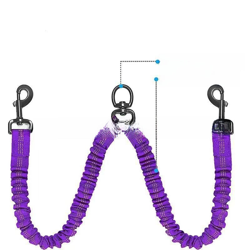 Double-ended nylon dog lead, ideal for everyday use