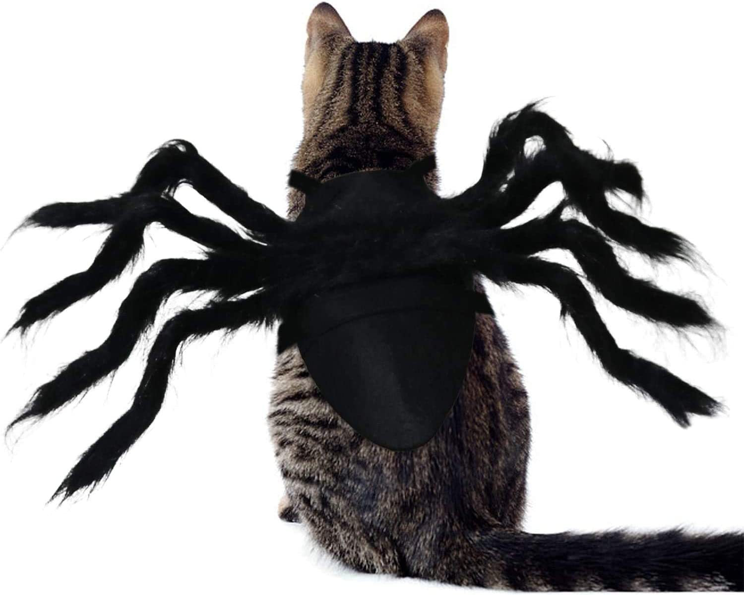 Halloween bat wings and spider costume for dogs and cats, image 9