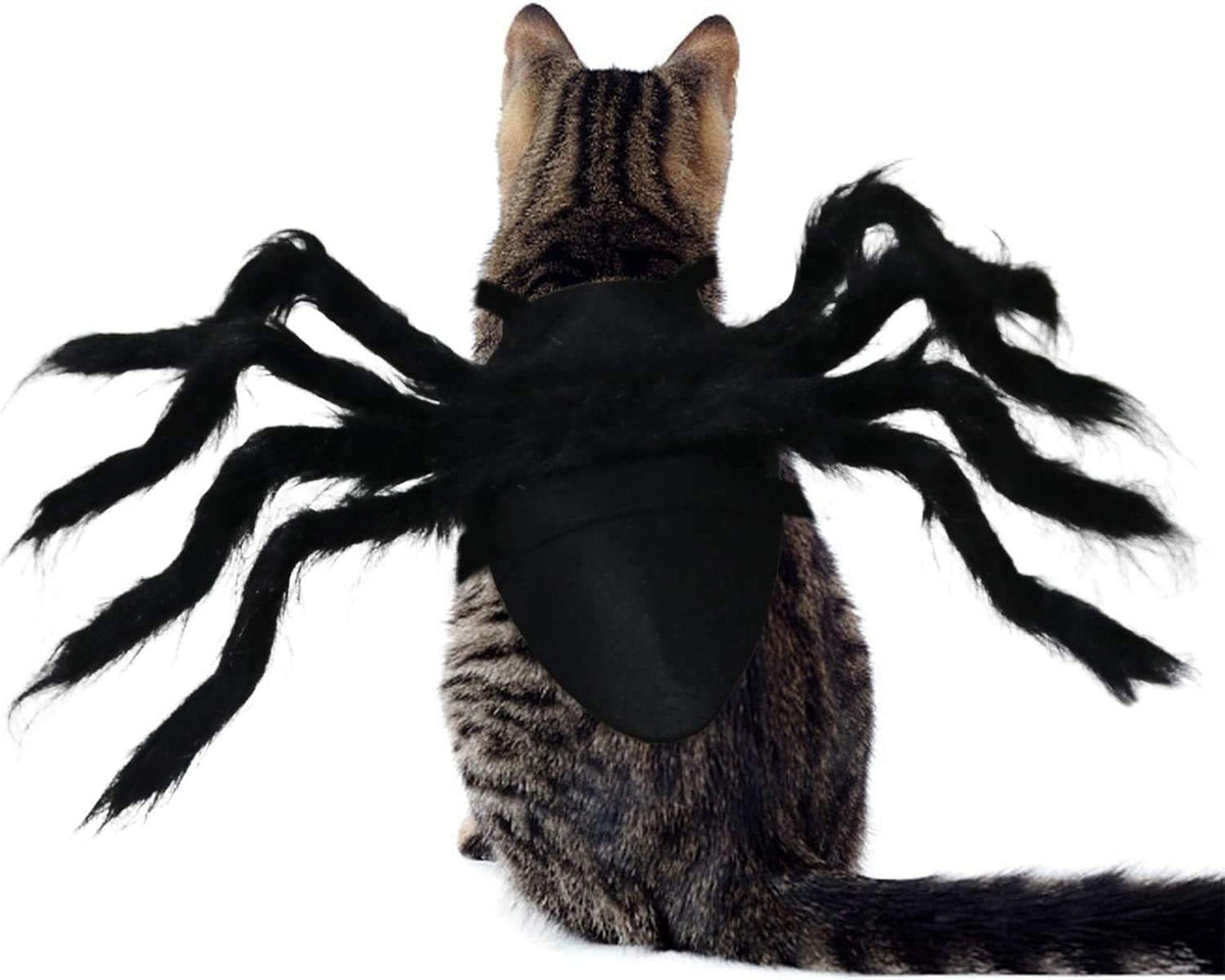 Halloween bat wings and spider costume for dogs and cats, image 9