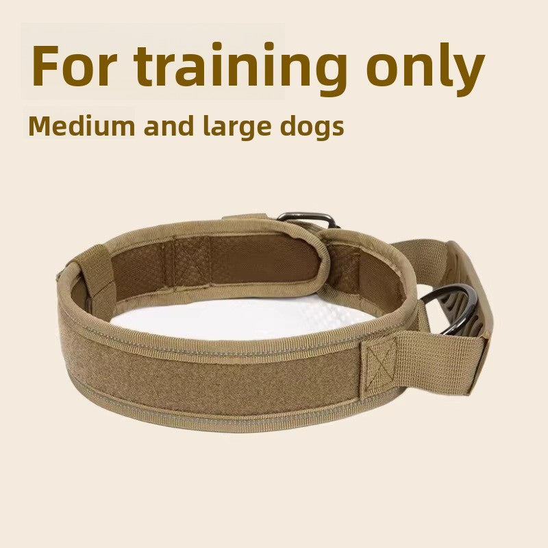 Tactical nylon dog collar with metal buckle in outdoor colours, front view