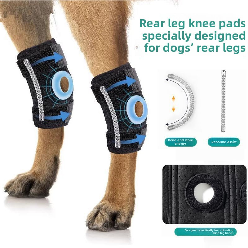 Polyester dog knee pads protecting leg joints of senior dogs in Knee Pad, front view