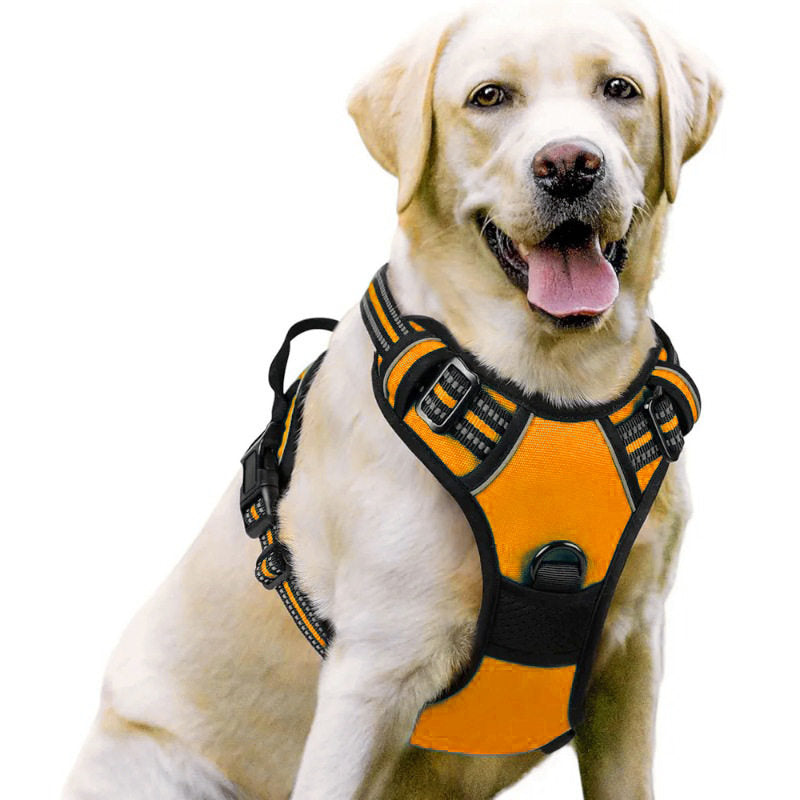 No-pull soft padded dog harness, available from Pet Royale UK