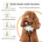 Electric Pet Hair Clipper Set with Multiple Blades for Dogs