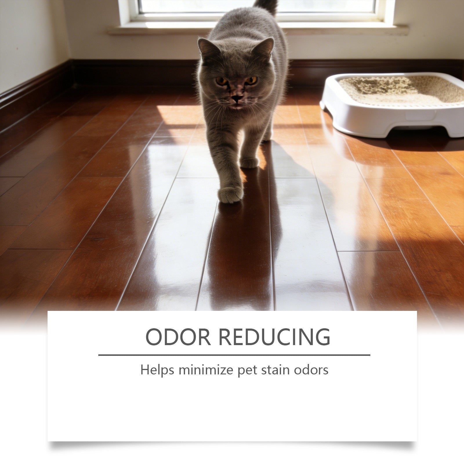 Pet Stain and Odour Remover for Carpets, Floors and Upholstery