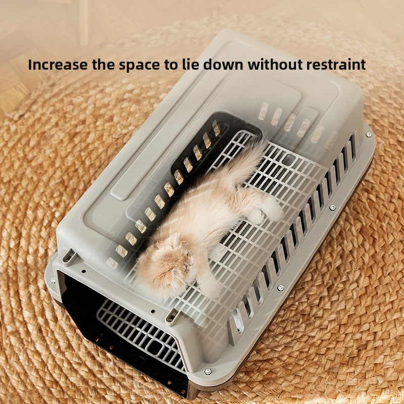 Plastic cat travel carrier with air vents and carry handle, photo 5