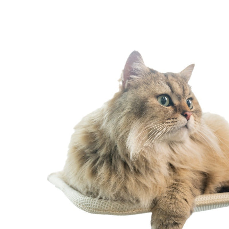 Foldable cat window hammock with suction cups, photo 5 of 52