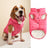 Small dog in a navy padded button up vest