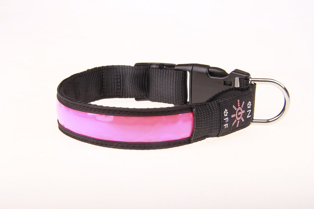 USB rechargeable LED dog collar glowing red at night