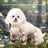 Four leg dust proof dog suit, available in 18 styles, image 1