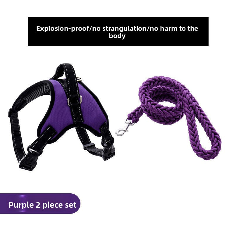 Nylon dog harness with thick eight strand rope lead in red